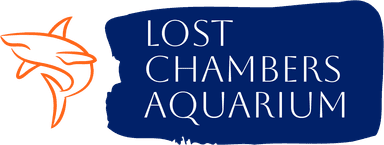 Lost Chambers Aquarium